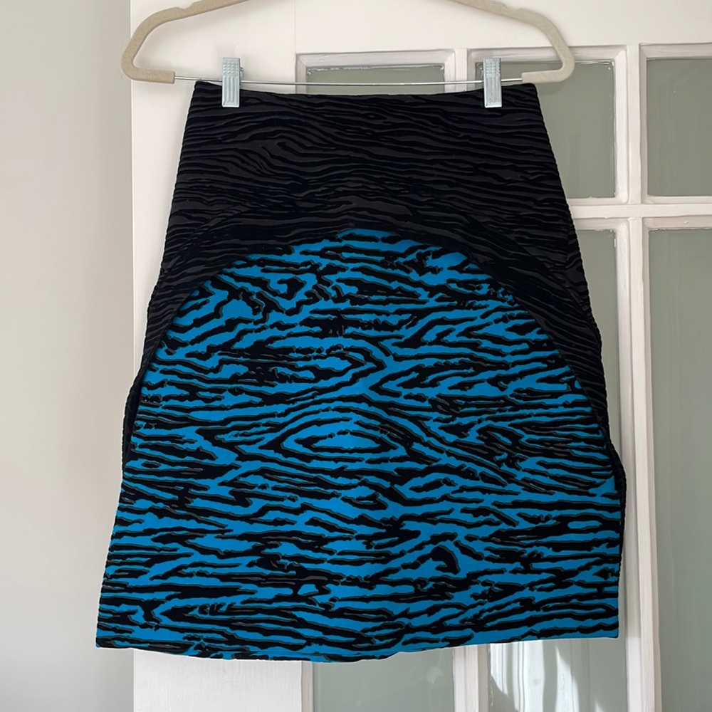 Proenza Schouler Burnout Velvet Skirt Sz 0 - Fall 2014